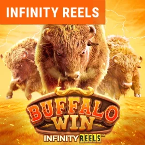 Buffalo Gold slot game Myanmar mobile app download big win chance
